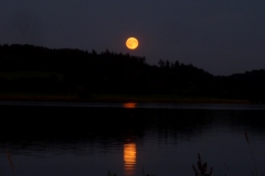AUGUST MOON 2016