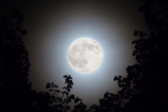 MAY MOON 2016
