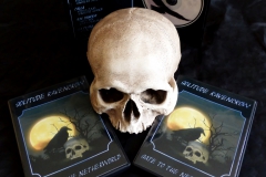 PROTOTYPE - THE GATE TO THE NETHERWORLD